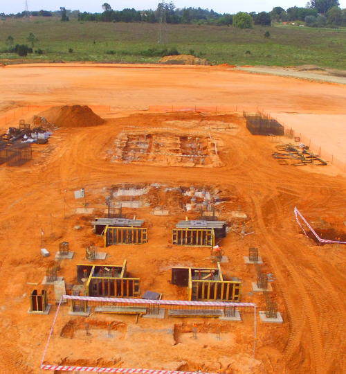Braspine planta Rivera